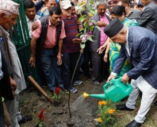 सरकारले ३ वर्षभित्र ३ करोड फलफूलका बिरुवा रोप्ने